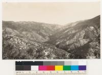 Taken near the junction of the main fork of Mill Creek and the Monte Cristo branch of Mill Creek and shows the head of Mill Creek with Mill Creek divide in the background. Cover type is mixed brush with a preponderance of chamise in the mixture