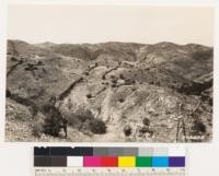 Looking NW at area ruined by smelter fumes. Note ponderosa pine 6 years old. Other vegetation scattered Arctostaphylos viscida and Rhus diversiloba