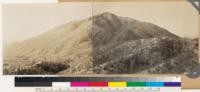 Panorama of north slope of Mt. Harrison. Note knobcone pine snags. Chamise-Arctostaphylos tomentosa type. Plunge Creek fire area burned December 1927