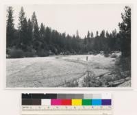 1 mile NW of Bunker Hill-on Shady Creek. Barren area consisting of placer wash. Young growth ponderosa pine surrounding . Nevada Co