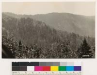 Cover types-Humboldt County. Douglas fir type on southwest slopes over ridge from Hoopa Reservation on road to Eureka. Note patches of woodland (Tanbark oak, black oak, Madrone, Garry oak, Canyon live oak, California laurel) that have replaced fire killed Douglas fir