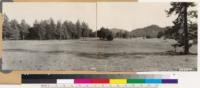 Panorama looking south toward Mt. Pinos. Jeffrey pine-coast live oak type in foreground at left and Coulter pine type on slopes in background