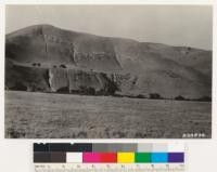 Shows conversion of grazing grassland to sage area (Artemisia californica and Eriogonum fasciculatum) because of erosion following over-grazing