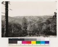 Looking northwest. In foreground, Pinus ponderosa, Quercus kelloggii type with Pinus sabiniana. Understory of Arctostaphylos viscida, Photinia arbutifolia. Slopes in background, Adenostoma fasciculatum, Arctostaphylos mariposa, Arctostaphylos pastillosa type. Note snags of Pinus ponderosa