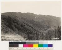 Looking south from head of Trabuco Canyon. North slope types: bigcone spruce, canyon oak; chaparral in foreground of Quercus dumosa, Cercocarpus betuloides, Ceanothus divaricatus and Quercus wislizenii, opposing south slope with Adenostoma fasciculatum pure and A. fasciculatum with Ceanothus divaricatus and Arctostaphylos glandulosa