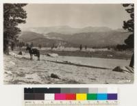 Looking across Whitney Meadow. Types in background consist of lodgepole pine on lower slopes; then lodgepole pine-foxtail pine; then pure Foxtail pine to timberline