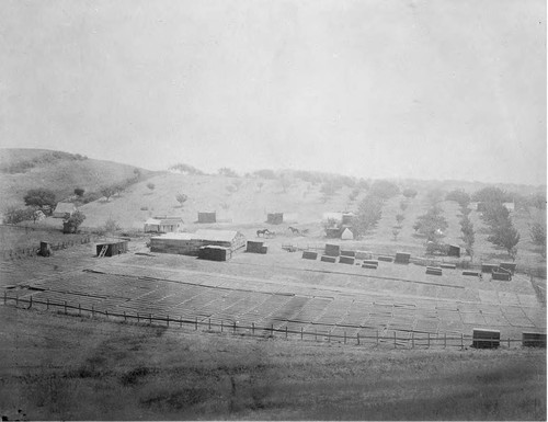 Photograph of Apricot Drying Areas