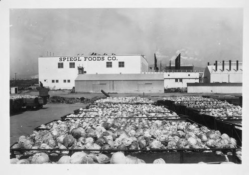 Photograph of Interior of Spiegl Foods Company