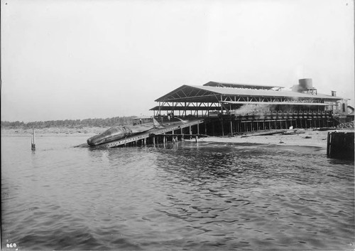 Photograph of Moss Landing Whaling Station With Sperm Whale