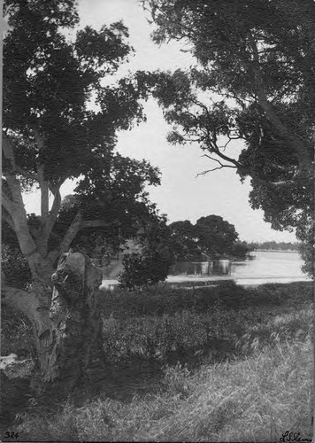 Photograph of Washerwoman's Lagoon