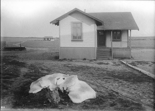 Photograph of Whale Vertebra in Front Yard of Private Residence