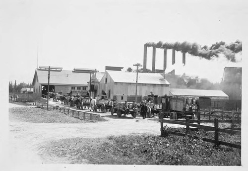 Photograph of Alpine Evaporated Cream Company Dairy