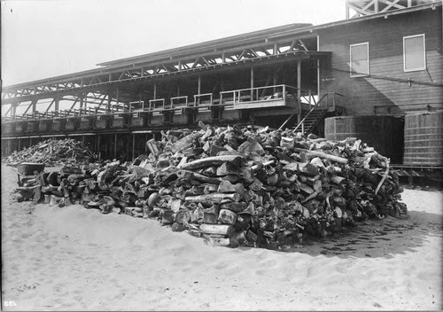 Photograph of Moss Landing Whaling Station With Stacked Whale Bone