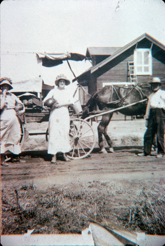 Photograph of the green grocer delivering produce