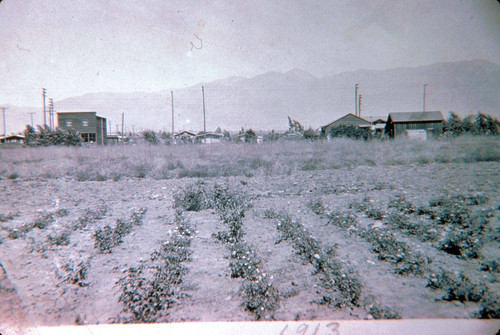 Photograph of farmlands