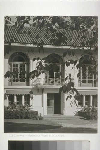 The library - entrance with elm leaves