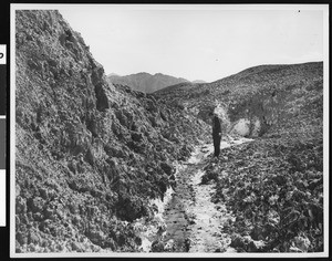 Old road to Ibex Mines and Gnome's Workshop in Death Valley, ca.1900-1950