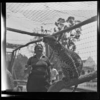 Olga Celeste and a leopard, California Zoological Gardens, Los Angeles, 1936