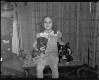 June Gertler with a Dachshund and a Boston bull pup, Los Angeles, 1935