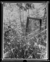 Crime scene of J. Belton Kennedy murder (copy), Los Angeles, ca. 1921