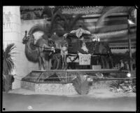 Anaheim booth at the Los Angeles County Fair, Pomona, 1929