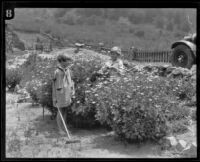 Mickey McBan and an unidentified girl gardening, Los Angeles, 1926