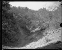 Two men in a narrow canyon in Griffith Park during or after a fire, Los Angeles, 1933