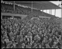 Spectators in the grandstand at Santa Anita Park on Christmas, the first day it opened, Arcadia, 1934