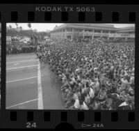 Runners at starting line of the Los Angeles Marathon, 1986