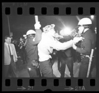 Protester hit by police outside of Century Plaza during President Johnson's visit. 1967