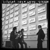 The Turtles, music group, before wall of Hollywood stars signatures, Los Angeles, Calif., 1966