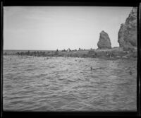 Seals poke their heads out of the water near Cosaka Island, Mexico, 1935