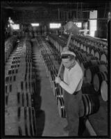 Garland Smith working at the Italian Vineyard Company, Guasti, 1936