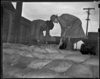 Two unidentified men stack bags of fertilizer in the rain, Sunset Beach, 1939