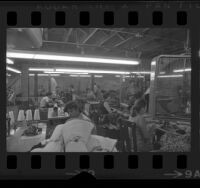 Garment workers in sweatshop, Los Angeles, Calif., circa 1971