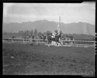 Race horse "Discovery" wins $100,000 Santa Anita Handicap, Arcadia, 1936