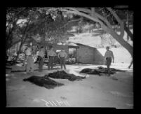 Police outside of the ruins of Fountain of the World headquarters look at bodies of the victims. A. 1958