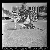 Le Poulet, the rooster who laid eggs, in courtyard of Los Angeles County Museum of Art, 1967