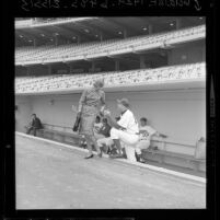 Dodger's manager Walt Alston explains some fine points of baseball to woman modeling clothes in Los Angeles, Calif., 1962