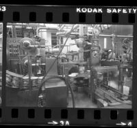 Cartons moving through machines at Alta Dena Dairy ice cream factory in Los Angeles, Calif., 1984