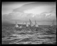 Several yachts in Los Angeles Harbor during the Midwinter Regatta, San Pedro, Los Angeles, 1936