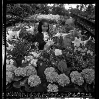 Merchant Frank Shimohara and young girl at Los Angeles Flower Market, 1965