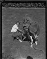 Cornelia Beversluis milks a cow, Pomona, 1934-1935