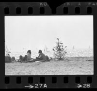 Beach goers with discarded Christmas tree on shoreline with sailboats in background at Marina del Rey, Calif., 1973