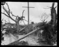 Destruction due to flooding from Saint Francis Dam failure at San Francisquito (Calif.), 1928