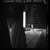 Eugene E. Tetreault in Microwave Anechoic Chamber at the Pacific Missile Test Center, Calif., 1976