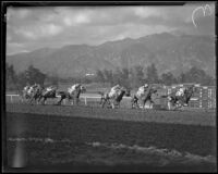 Horses racing at Santa Anita Park month it opened, Arcadia, 1934