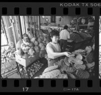 Maria Girelda selecting cactus at Sal's Market on Brooklyn Ave. in Boyle Heights, Calif., 1987