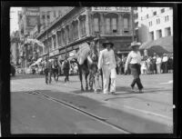 Burros in the Transportation Day parade at La Fiesta de Los Angeles celebration, Los Angeles, 1931