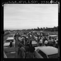 UCLA students halting traffic on the 405 Freeway after learning USC got Rose Bowl bid, Los Angeles, Calif., 1966